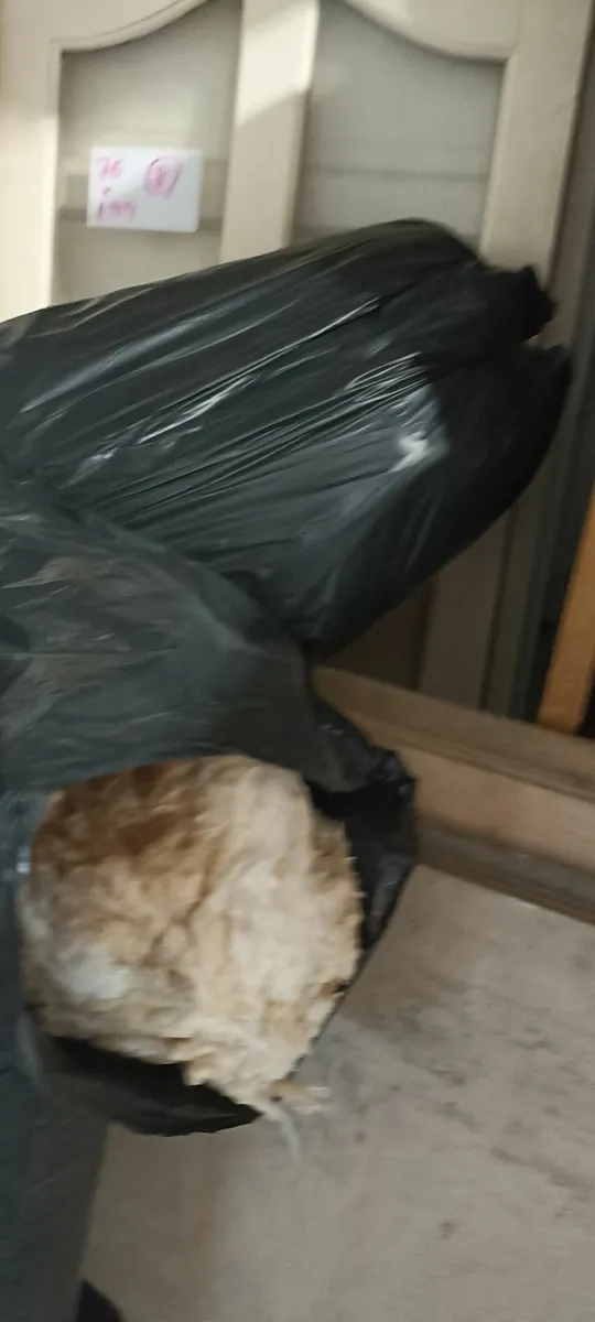 Glass Fibre Insulation - Image 2