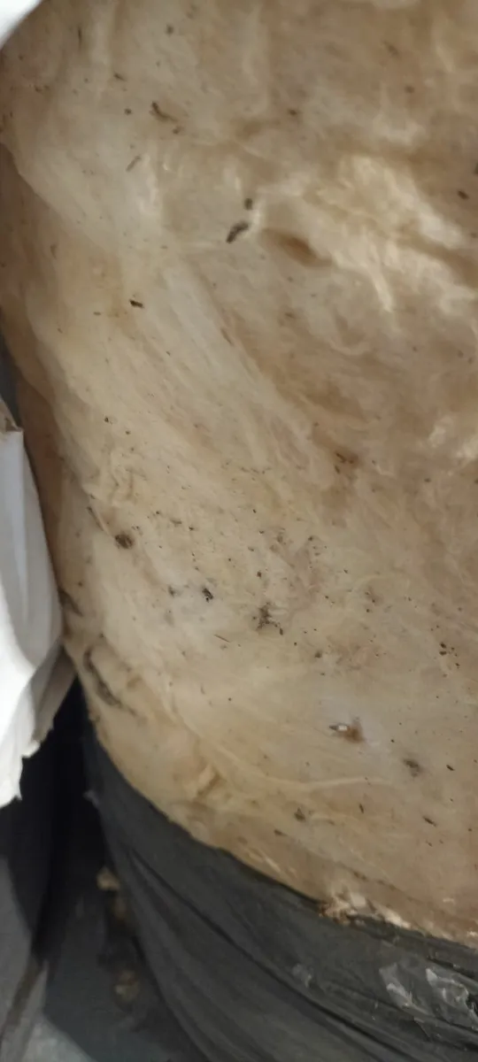 Glass Fibre Insulation - Image 3