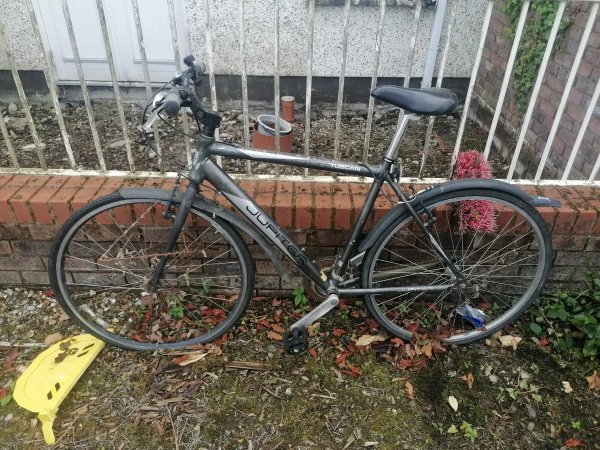 Adult bicycle