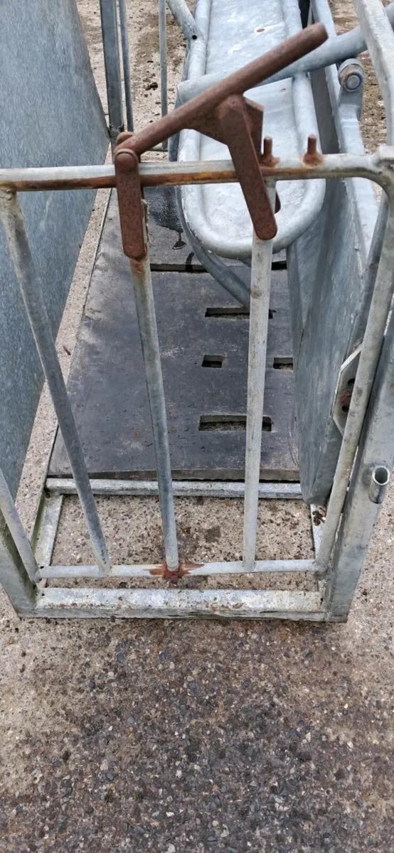 Sheep turnover crate - Image 2