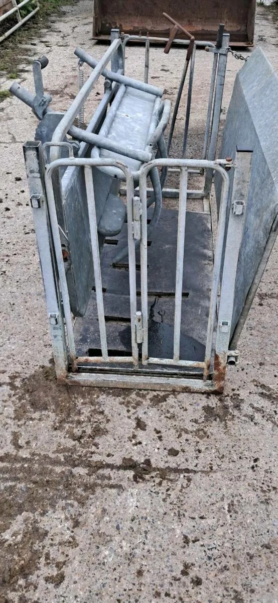 Sheep turnover crate - Image 3