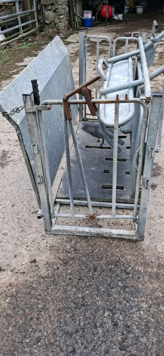 Sheep turnover crate - Image 4
