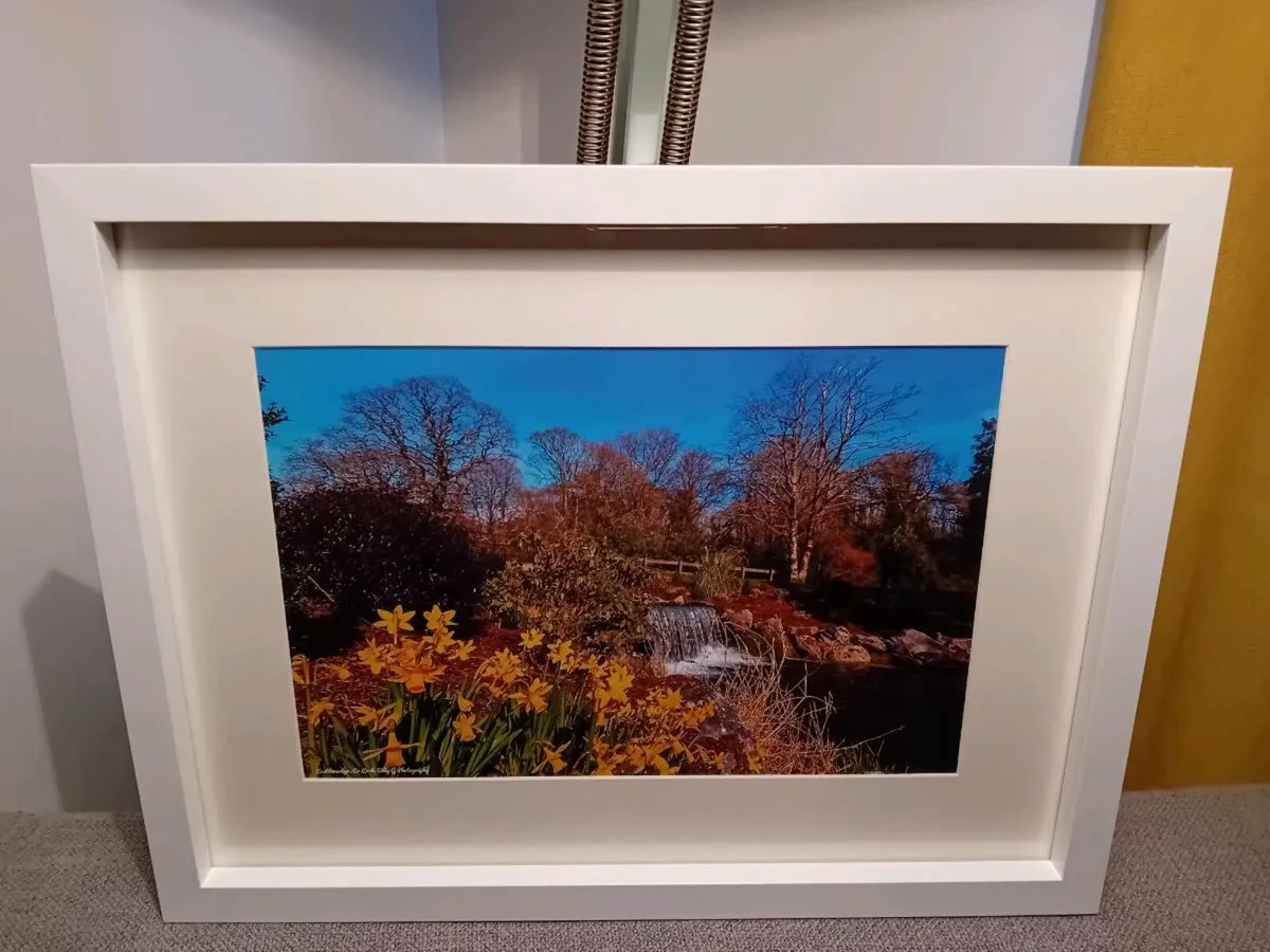 Castlemartyr Castle and Gardens - Image 3