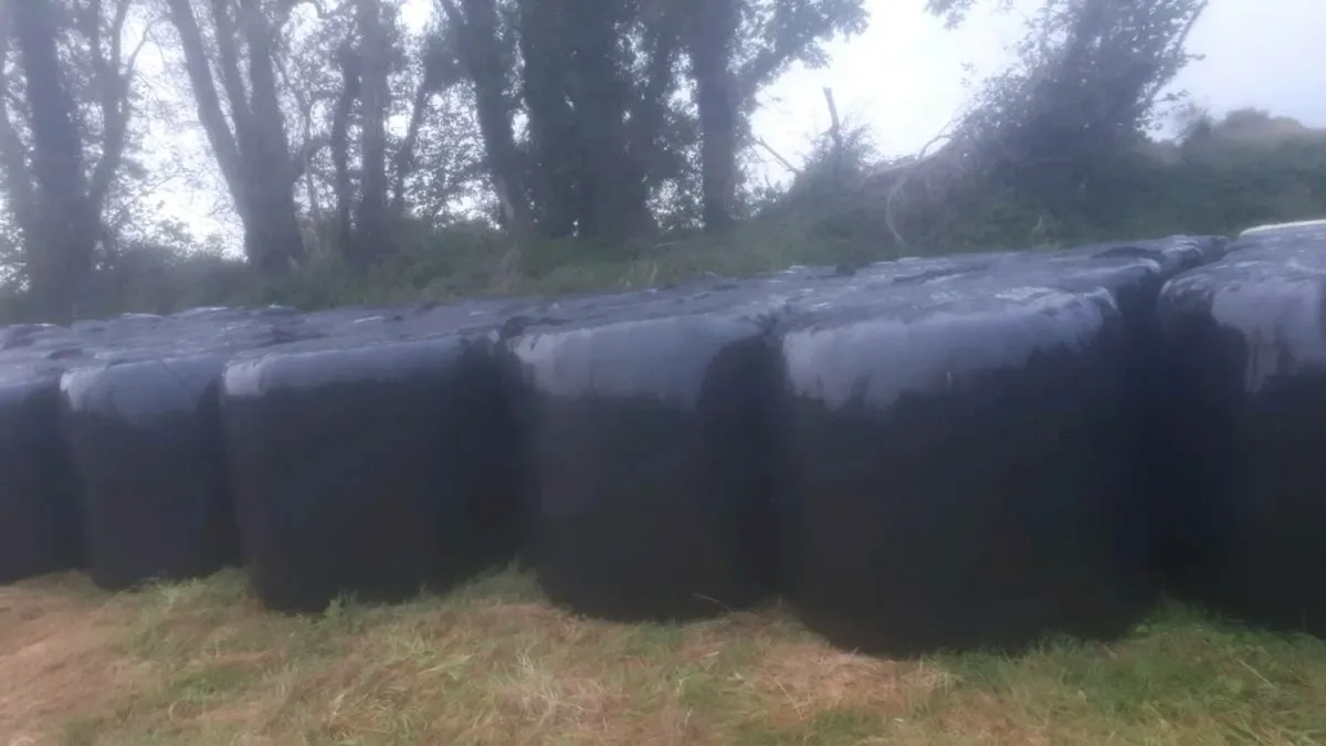 Haylage