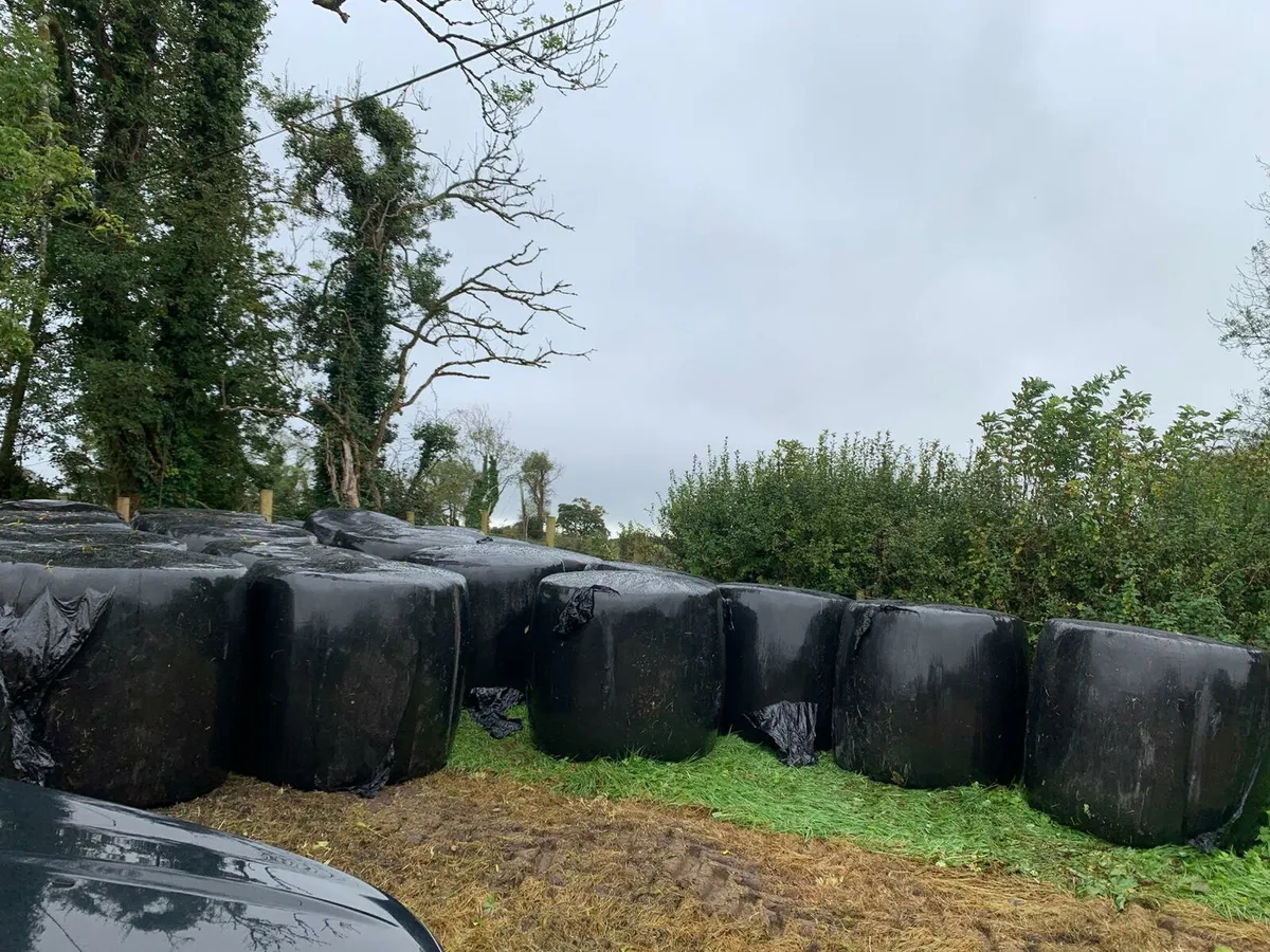 Silage Bales - Image 1