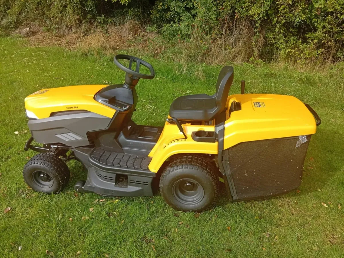 Ride on mower - Image 1