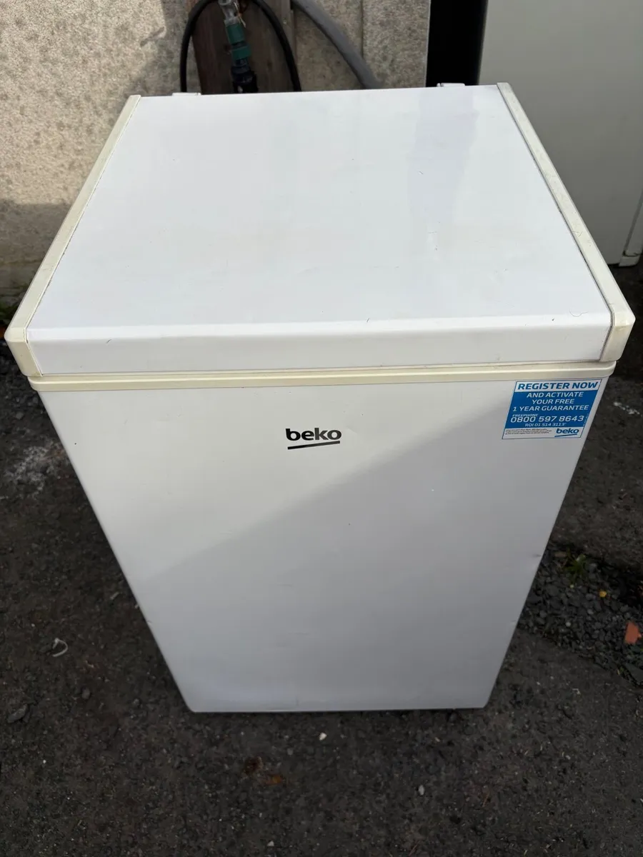Fridge and chest freezer - Image 2