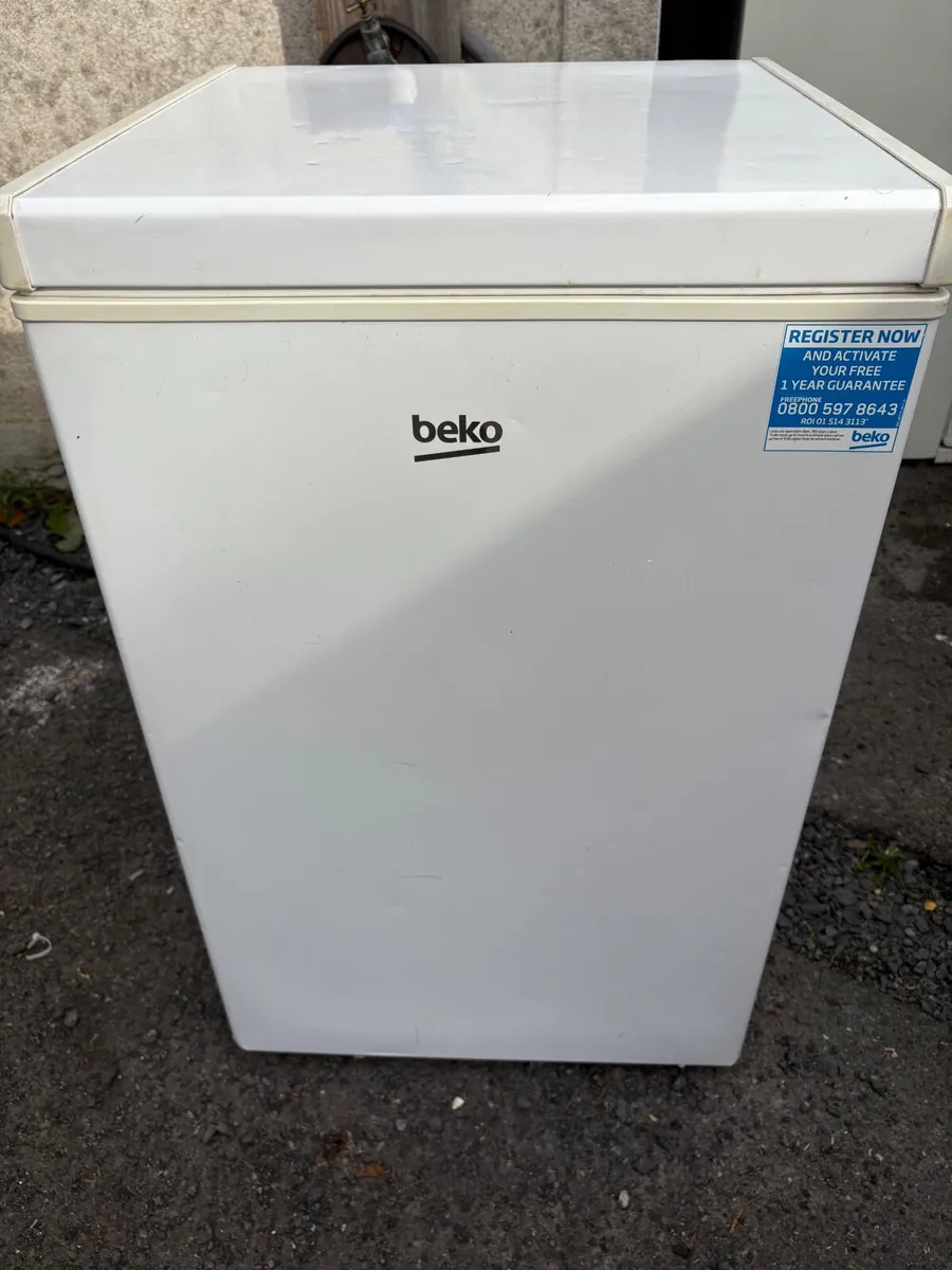 Fridge and chest freezer - Image 3