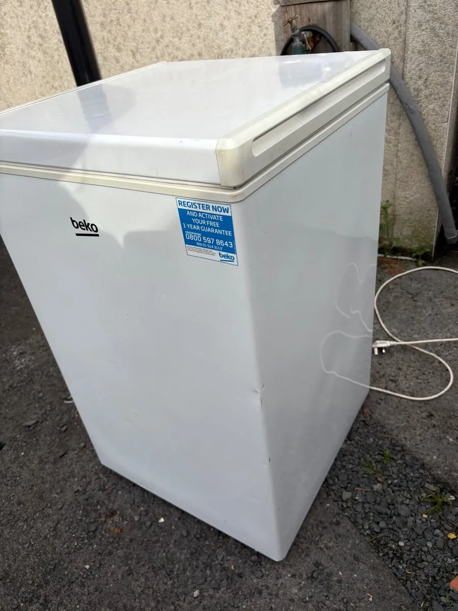 Fridge and chest freezer - Image 4