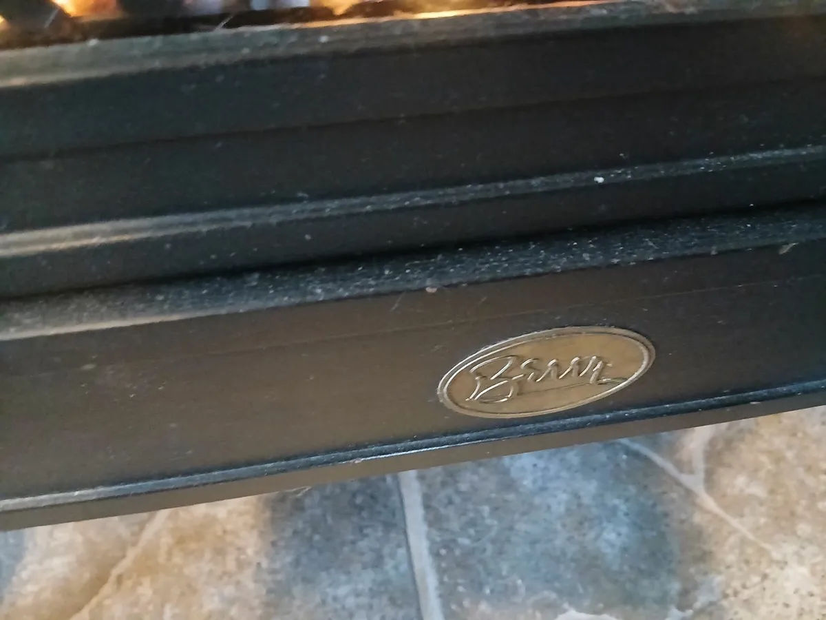 Berry Electric fire - Image 3