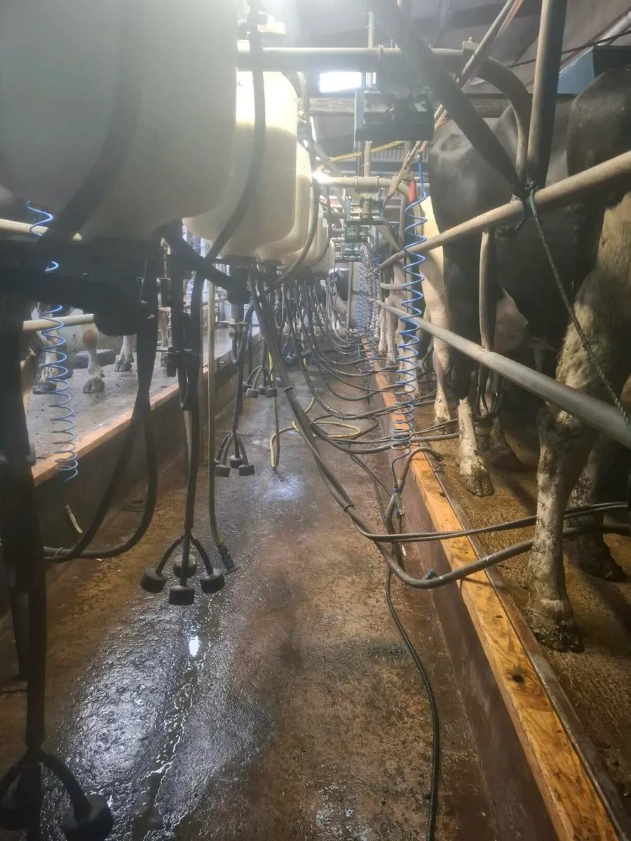 Milking parlour - Image 1