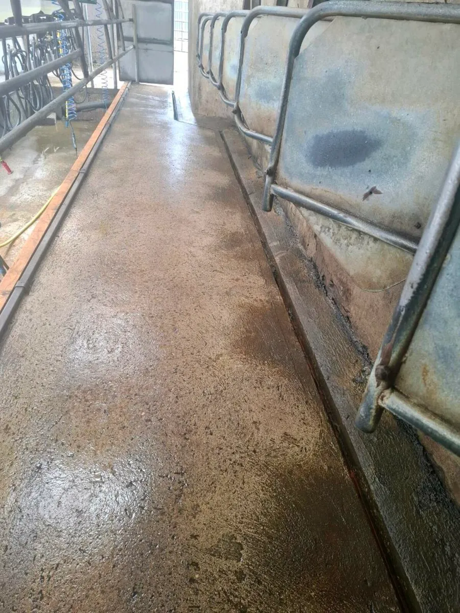 Milking parlour - Image 4
