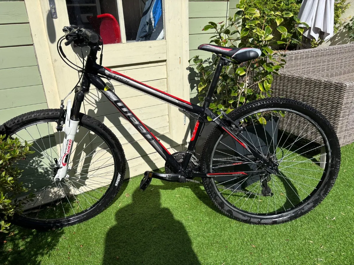Bike - Image 1