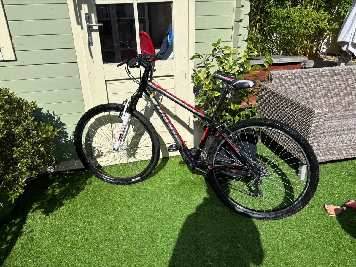 Bike - Image 2