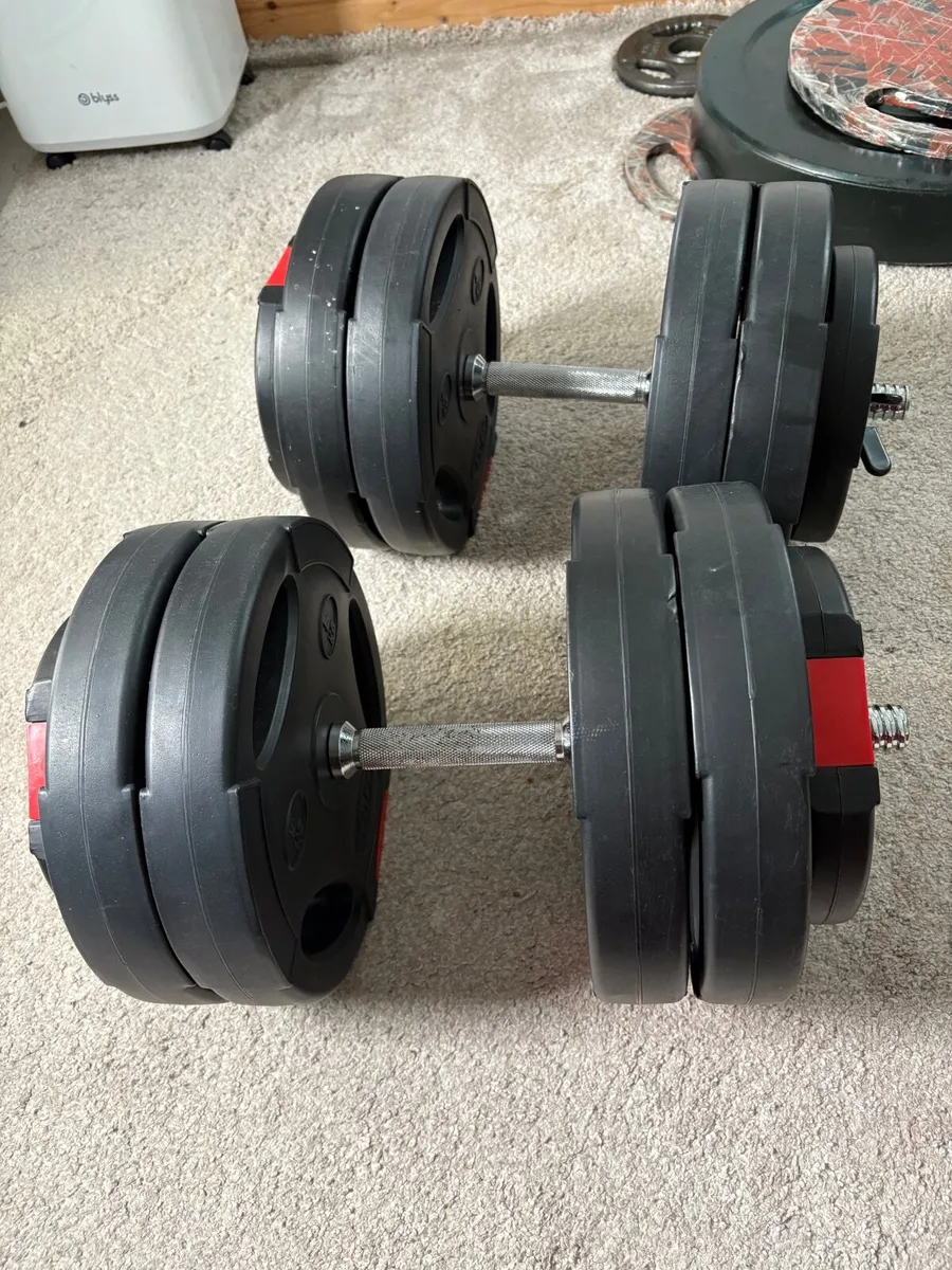Dumbells 23kg x 2 - Image 2