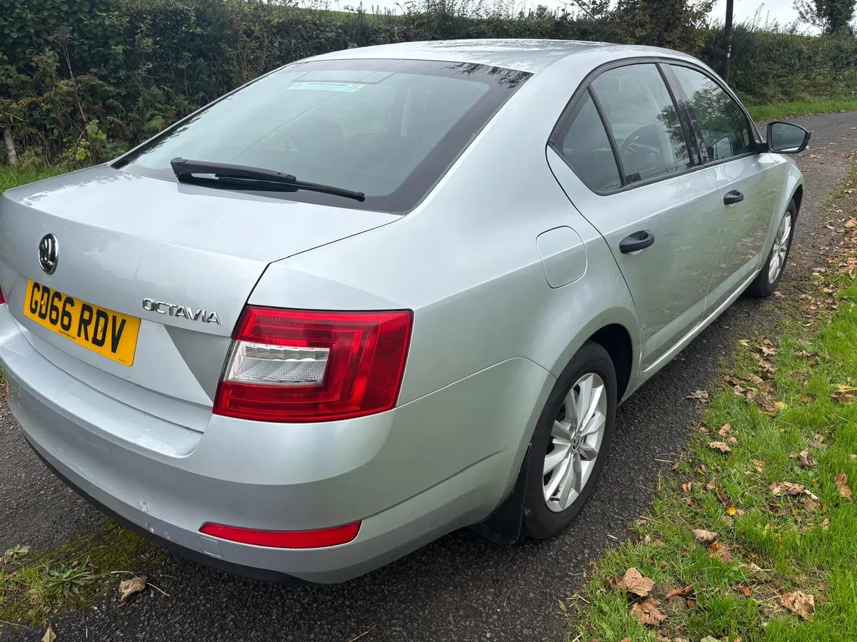 ‘17 Skoda Octavia Tdi ( LOW NOX) - Image 4