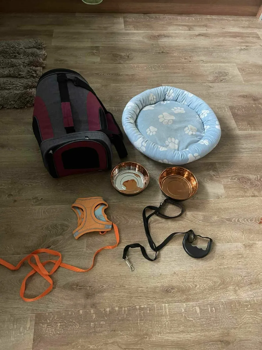 pet stuff - Image 2