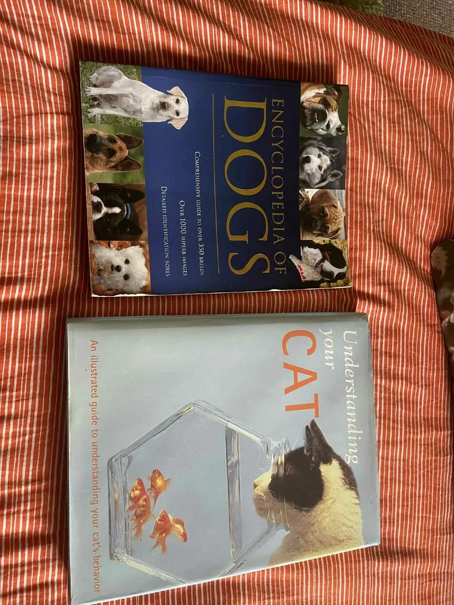 pet stuff - Image 3