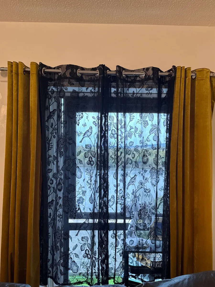 Curtains - Image 4