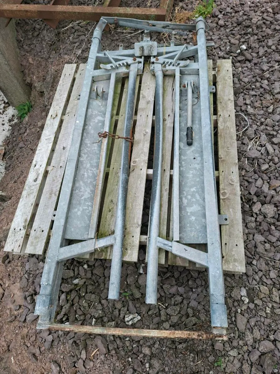 Cattle Crush gate