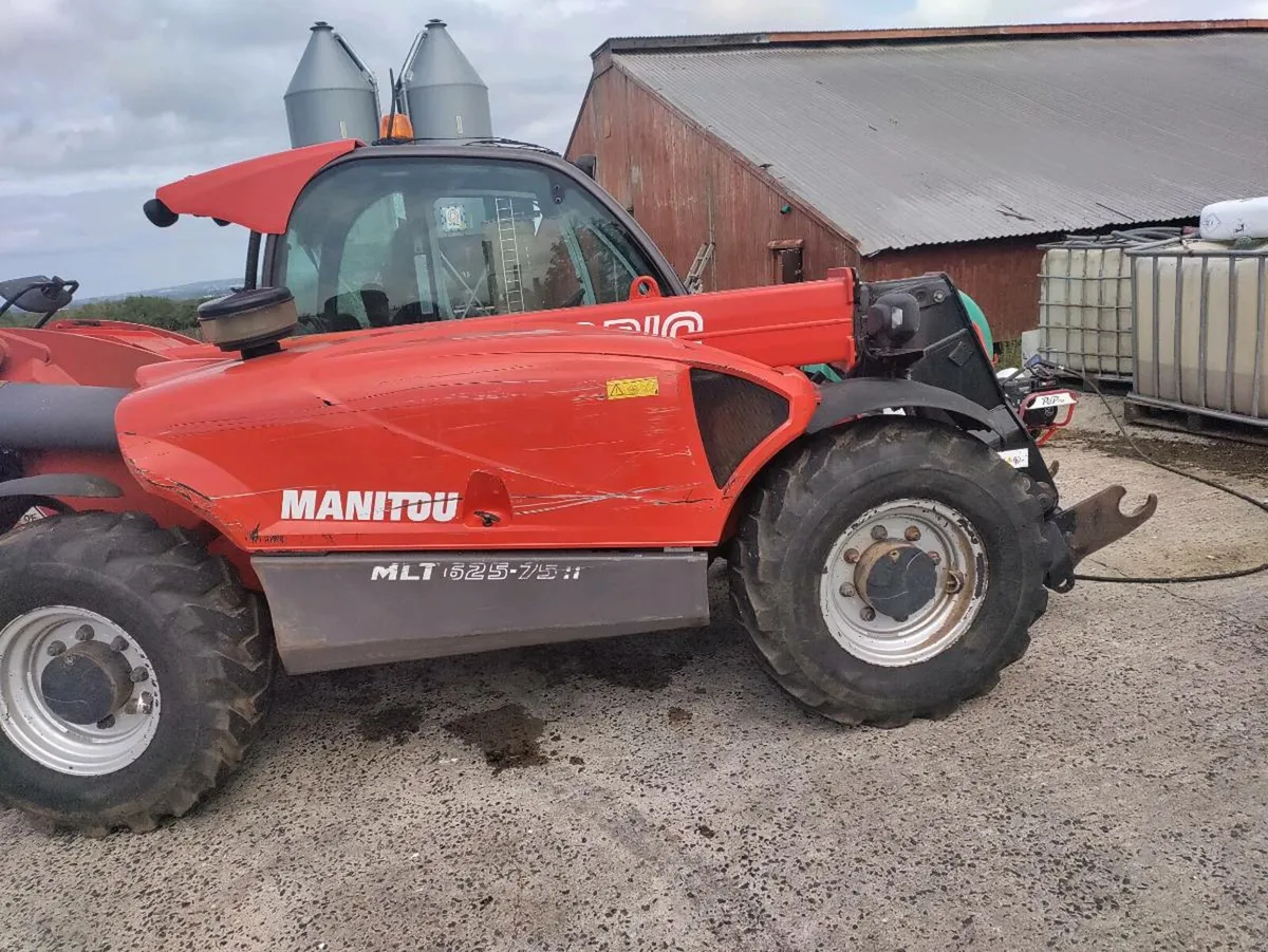 Telehandler - Image 1