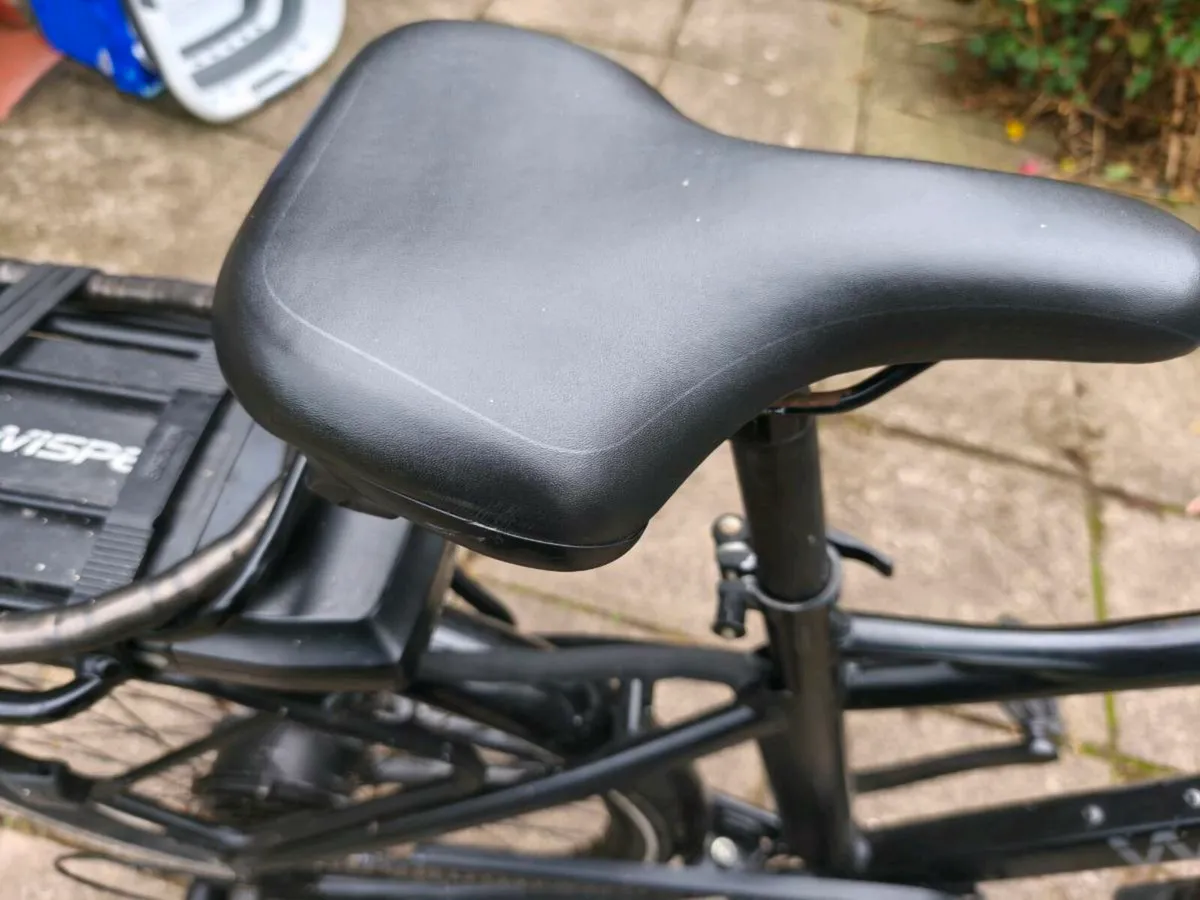 Electric Bike - Image 4