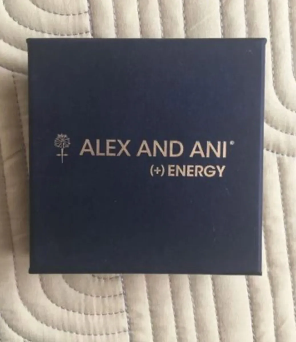 Alex and Ani Bracelet - Energy - Image 1
