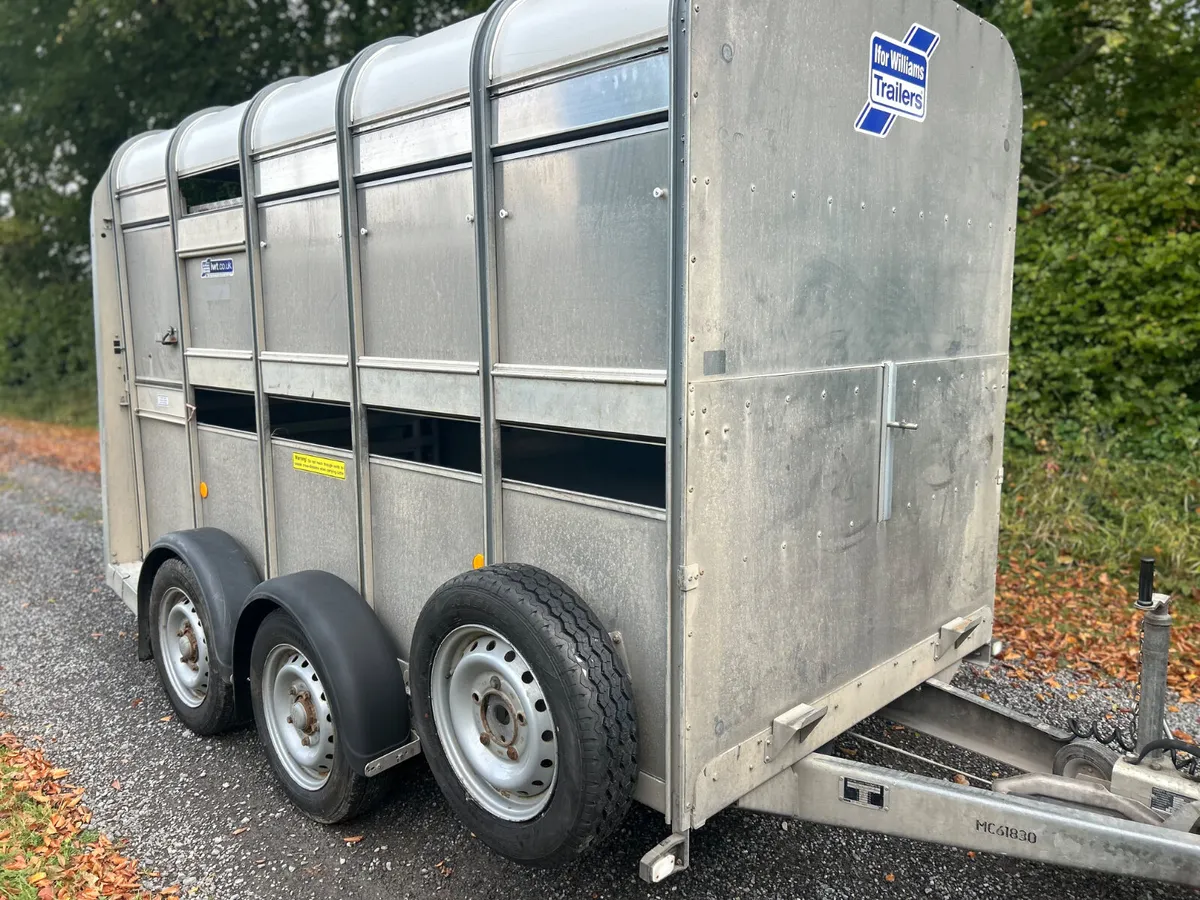 2021 Ifor Williams 10x5 with Sheep Decks - Image 3