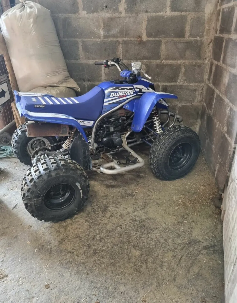 Yamaha Blaster Quad - Image 3