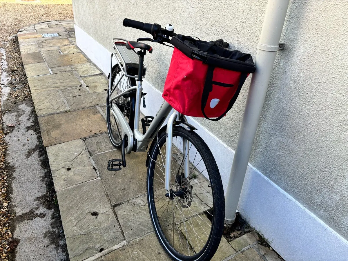 Ridgeback Step Through Electric Bike - Image 1