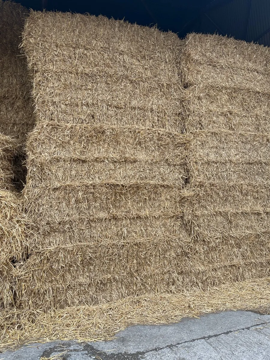 Wheaten straw