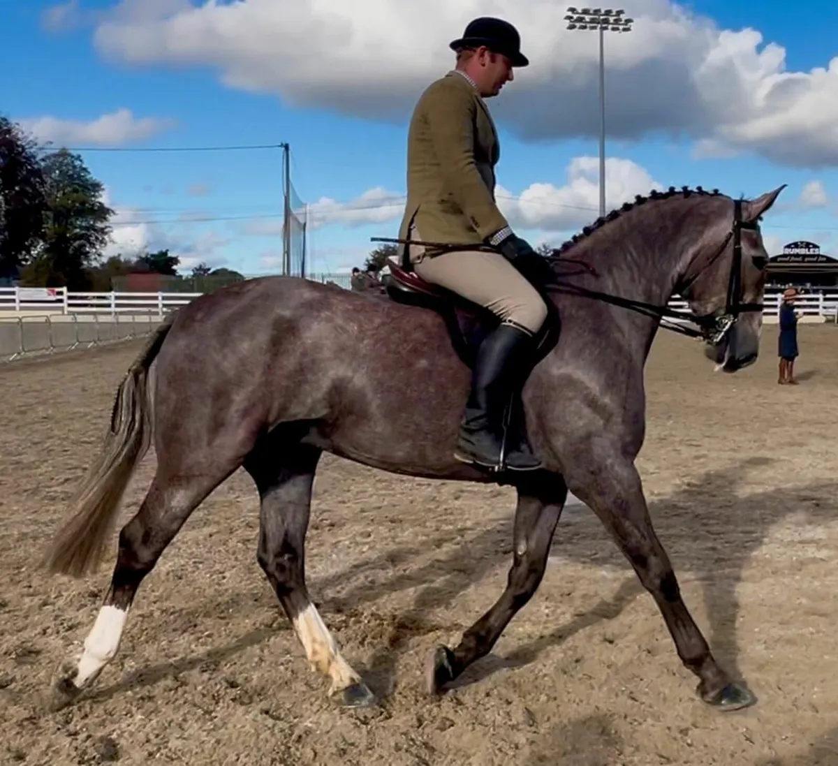 ☘️ Superb Registered Irish Draught Gelding☘️ - Image 1