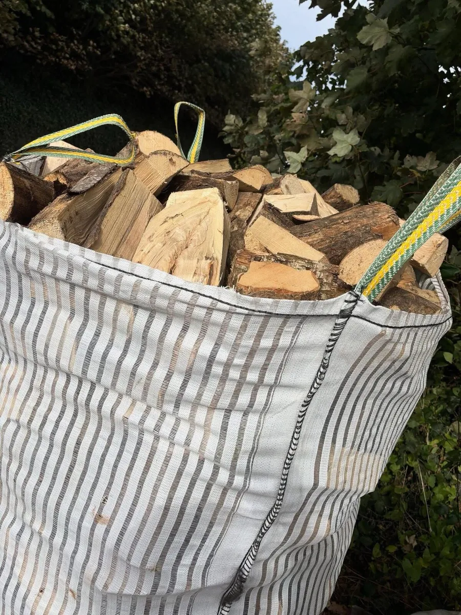 Hardwood firewood (ash) - Image 2