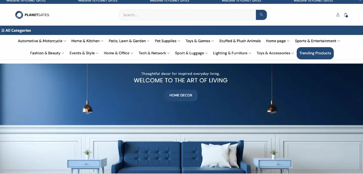 Established e-commerce store for sale