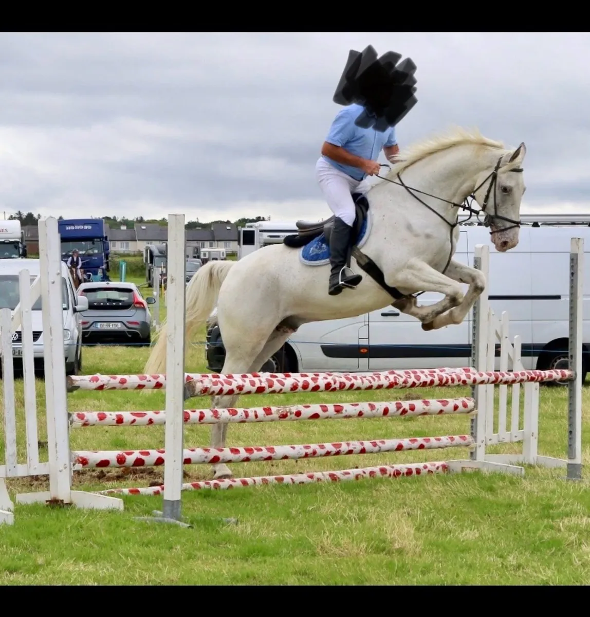 6yr old Hunter/Amateur Show-Jumper - Image 3