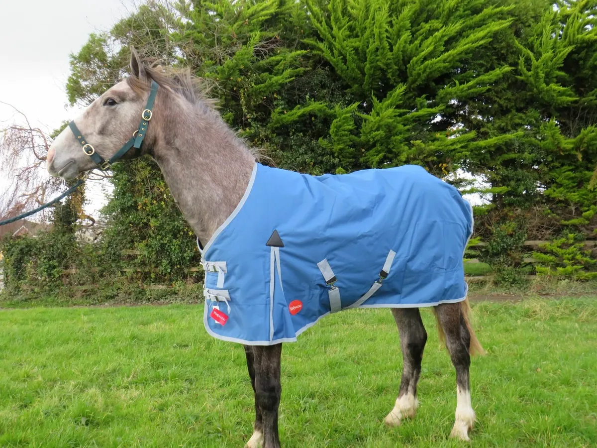 Turnout and Stable Rugs  available - Image 4
