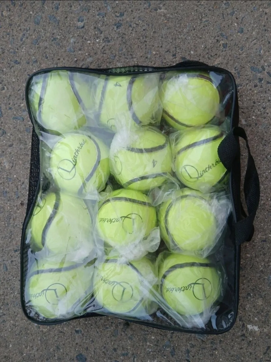 Sliotars - Image 1