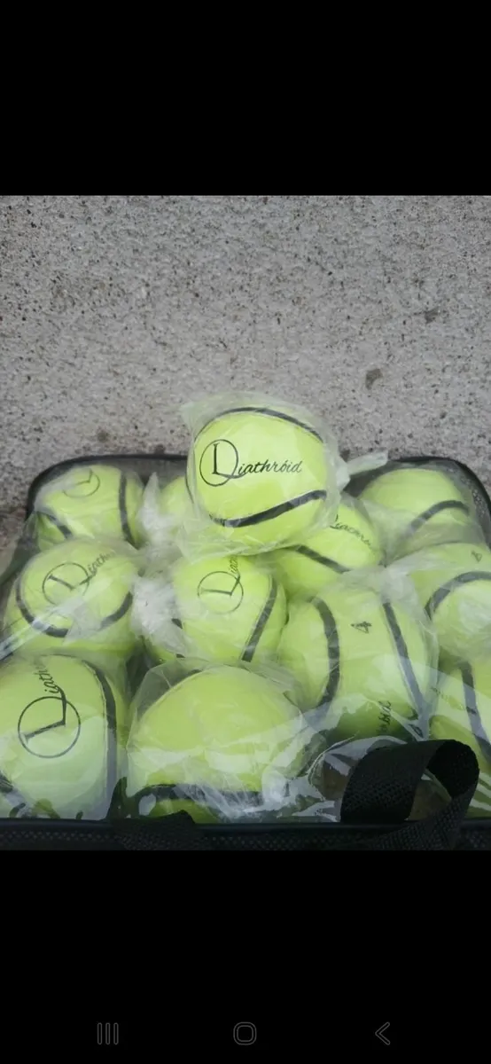 Sliotars - Image 2