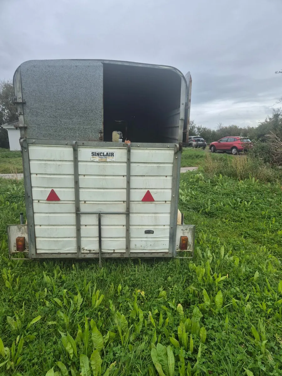 Horsebox trailer - Image 4