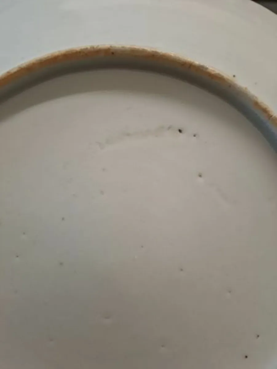 Antique Chinese porcelain blue white plate 1890 - Image 4