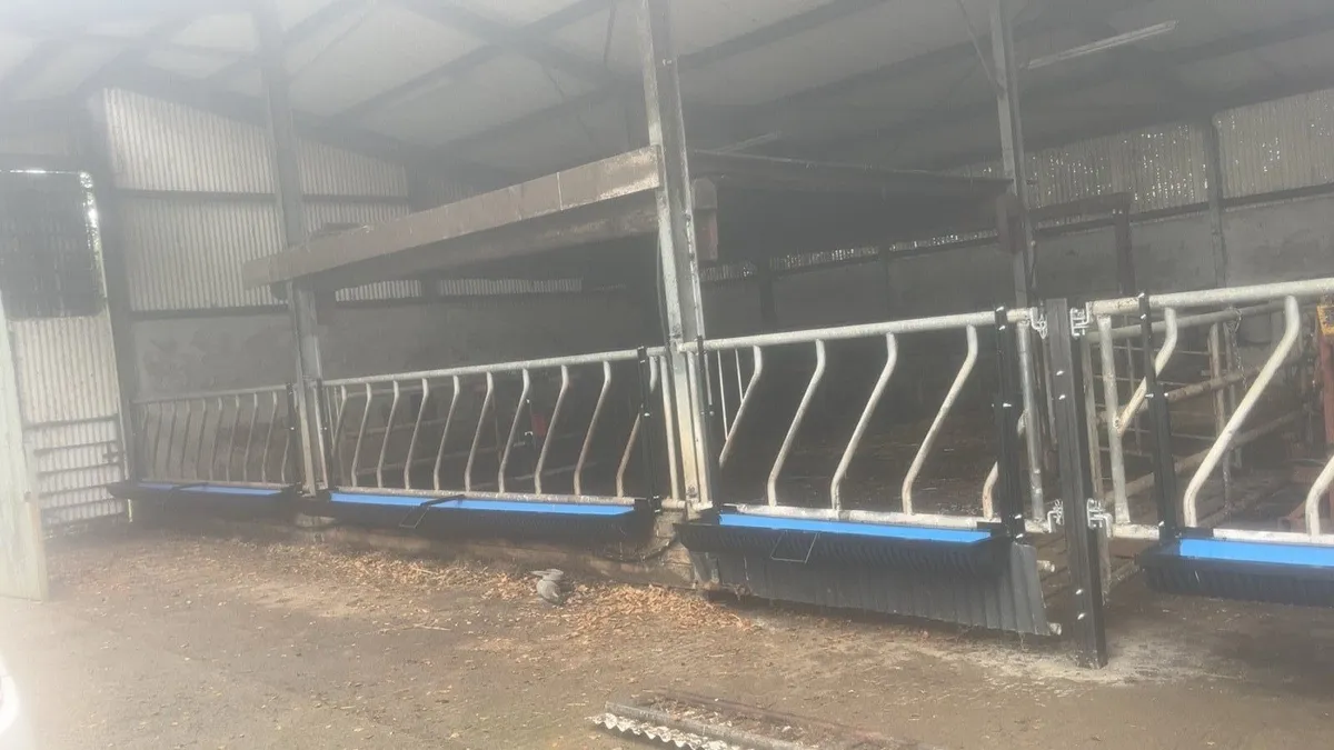 Cattle sheep and swing down troughs - Image 1