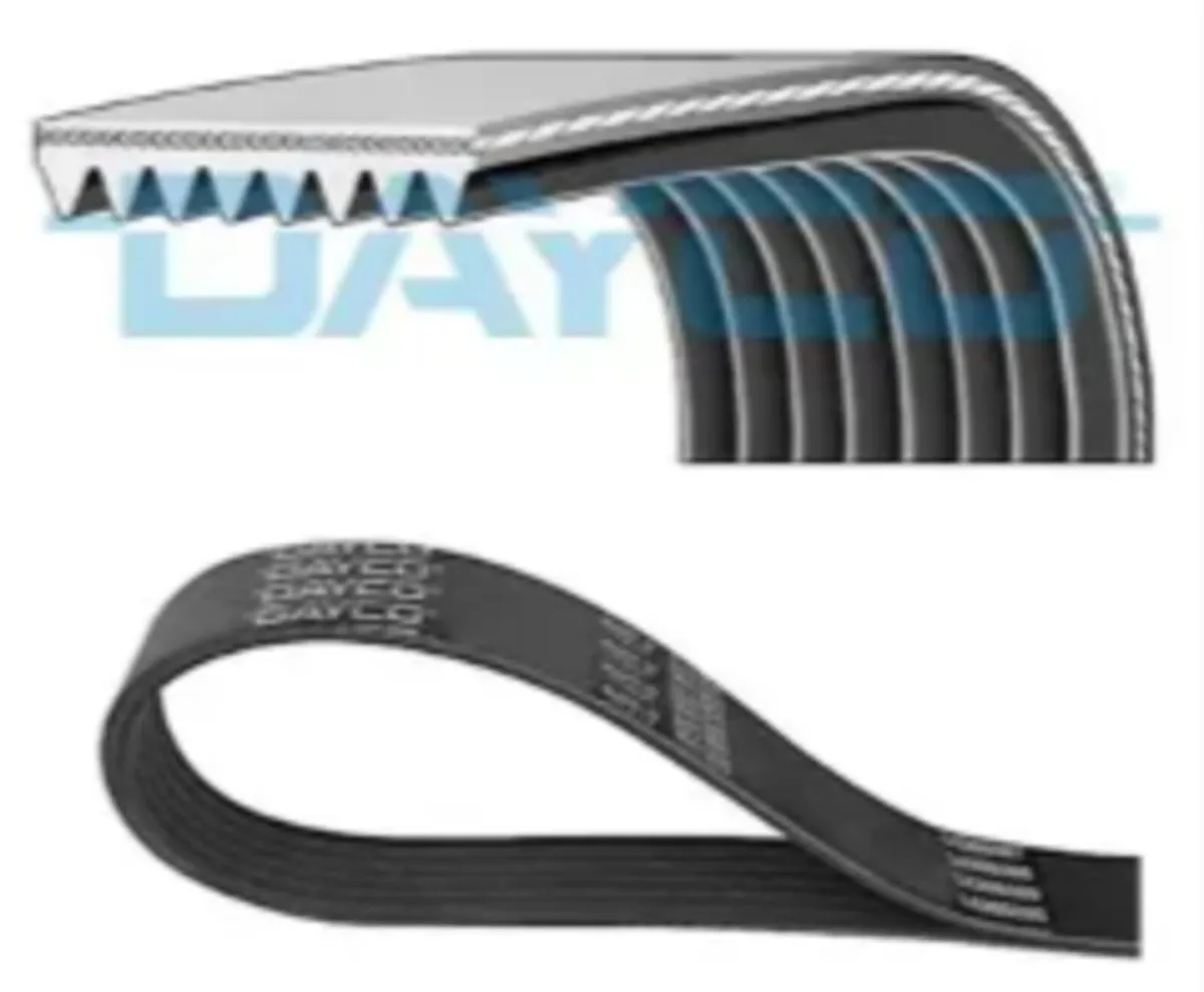 DAF SCANIA MERC ENGINE BELT (DAYCO)