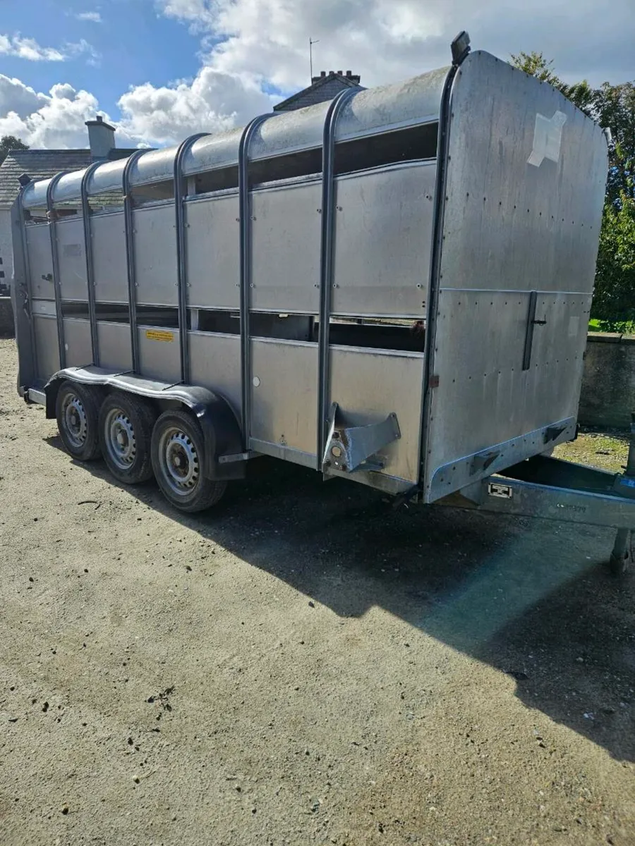 Ifor williams 14x6 - Image 1