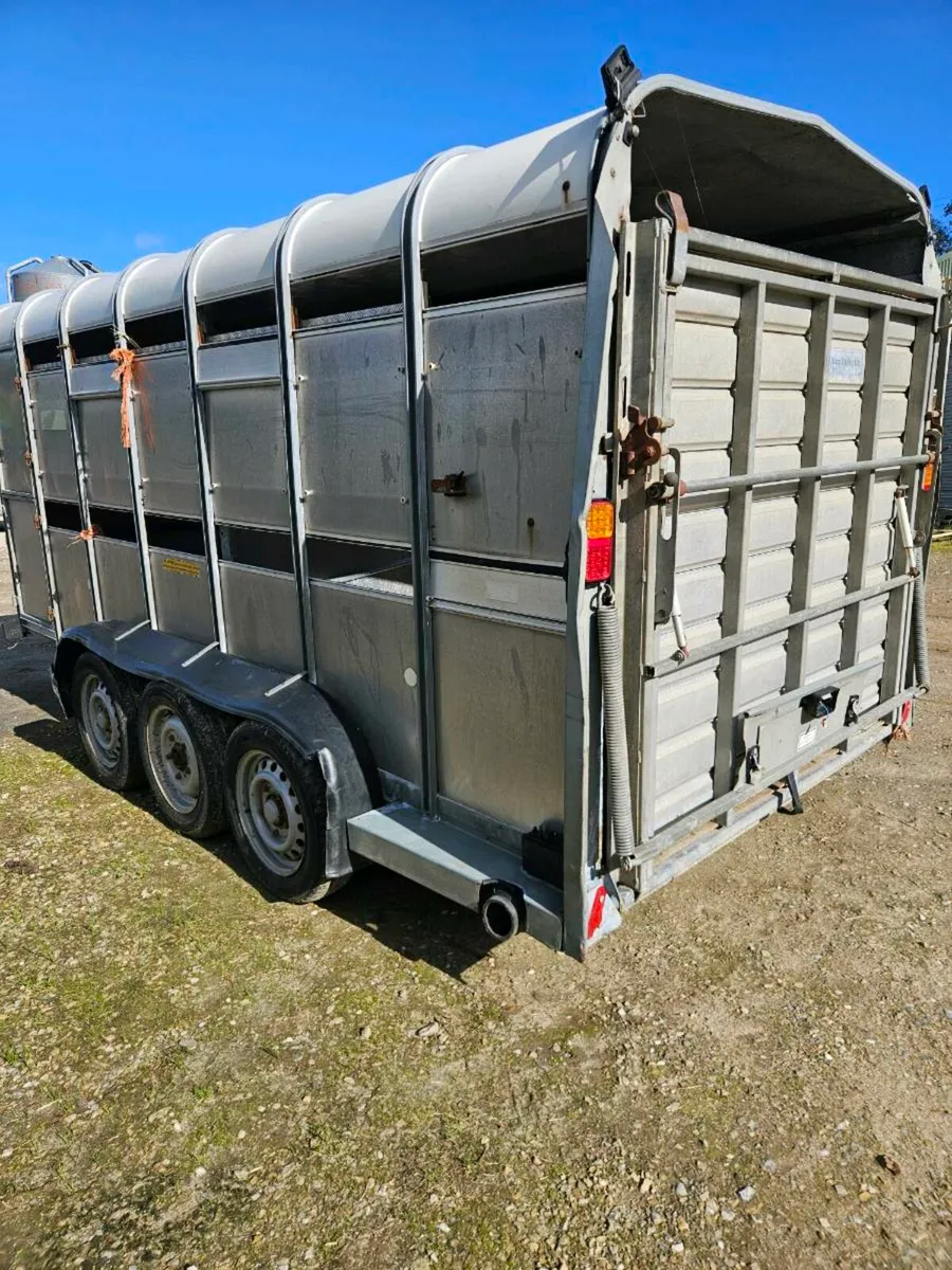 Ifor williams 14x6 - Image 3
