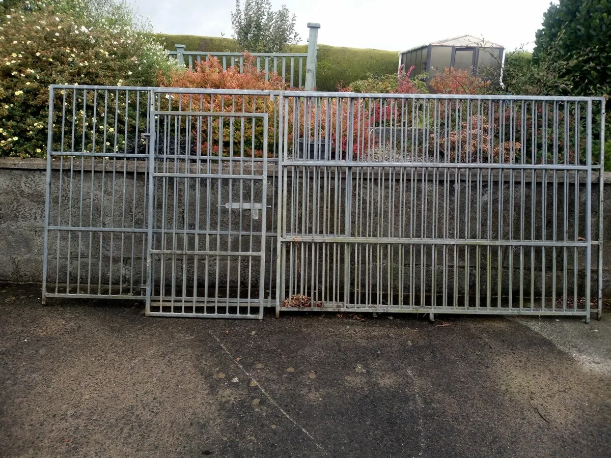 Dog run - Image 3