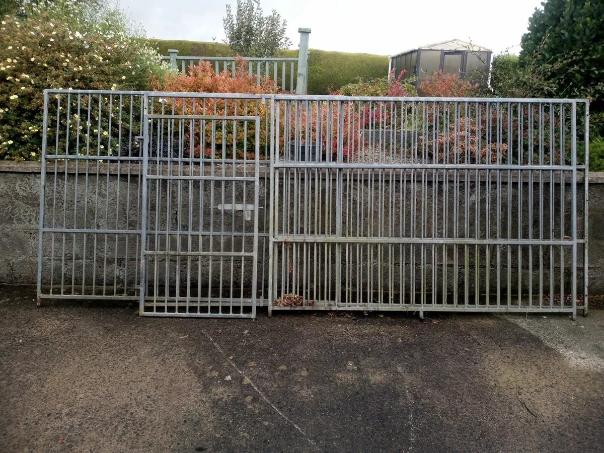 Dog run - Image 4
