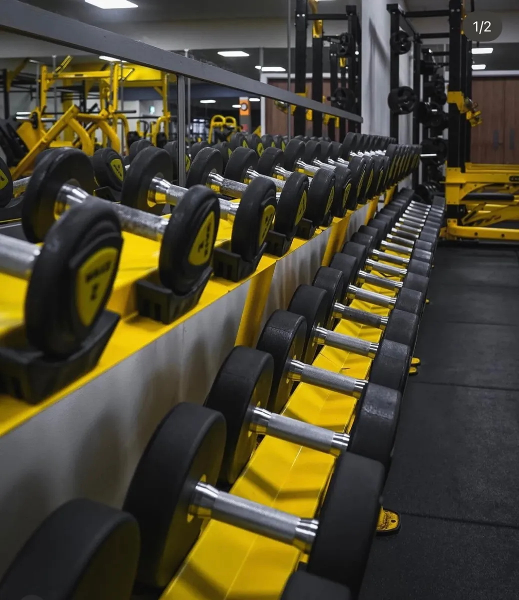 Dumbbells 2-40kg - Image 1