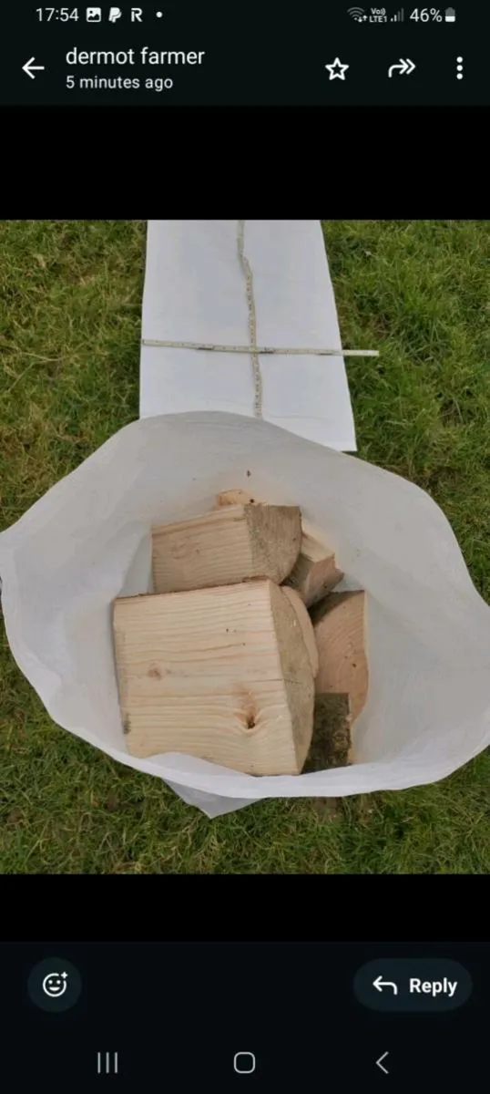 Fire wood - Image 1
