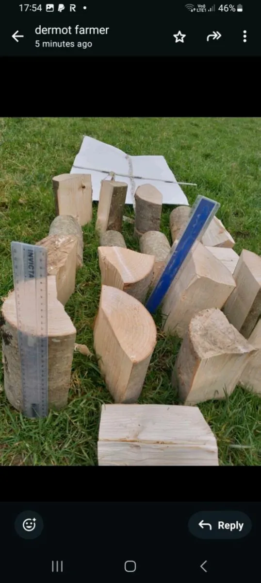 Fire wood - Image 4