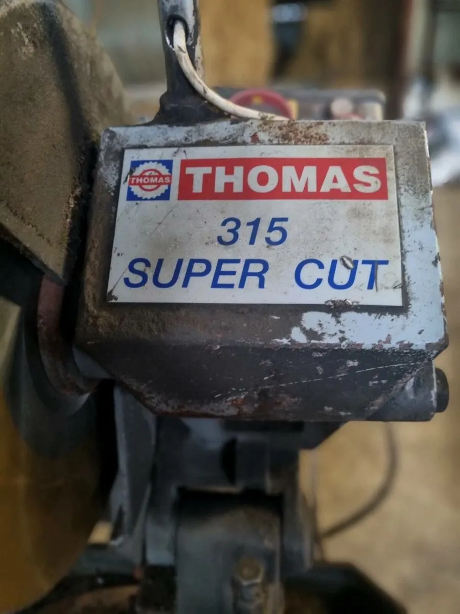 Wet cut thomas saw - Image 4